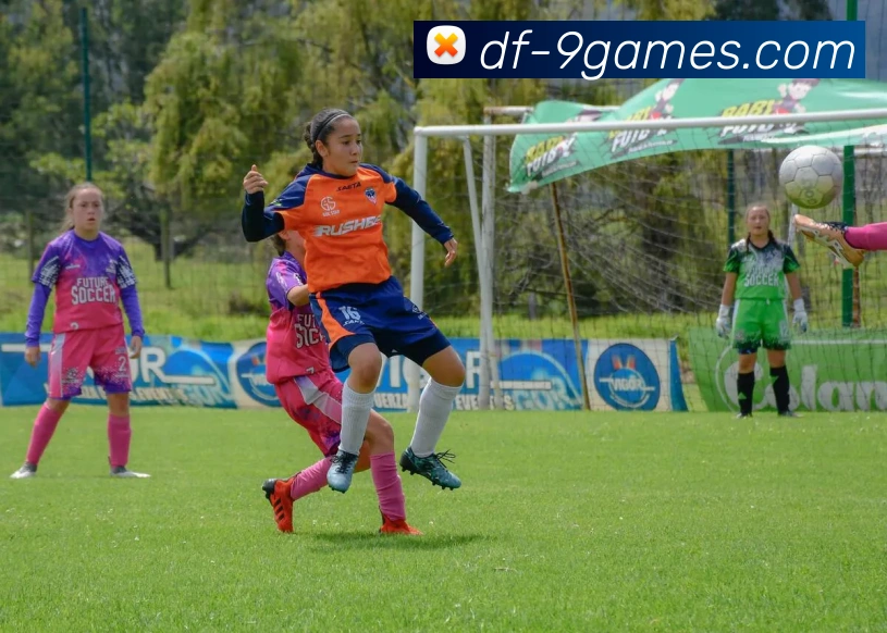 9九游会官网APP 封面图